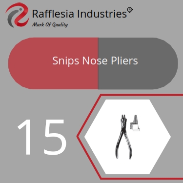 Snips Nose Pliers