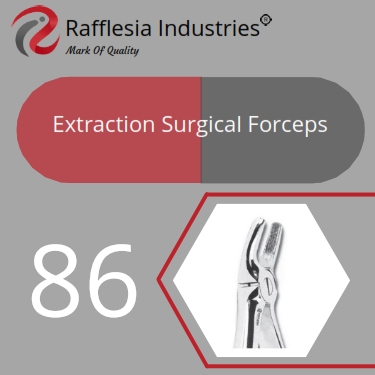 Extraction Surgical Forceps